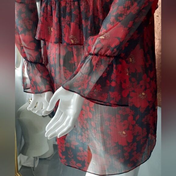 Zara Chiffon Sheer Ruffled Mini Dress - Picture 13 of 13